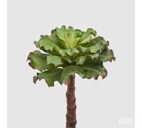 EDG Enzo De Gasperi Succulente West Ramo H 36 Cm Light Green - Pianta Artificiale Decorativa Realistica Design Moderno