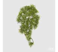 EDG Enzo De Gasperi Tillandsia Bell Cespuglio Cad. H40 C0 Green