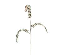 EDG Ramo Felce Dimonds H88 per decorazione albero natalizio e vasi Colore Verde