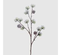 EDG Pino Ramo con PIGNA X3 INNEVATO H70 Colore : White Green