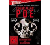 Edgar Allan Poe - Geschichten des Wahnsinns