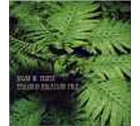 Edgar Froese - Epsilon in Malaysian Pale