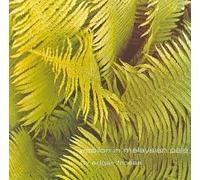 Edgar Froese - Epsilon in Malaysian pale [Import anglais]