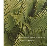 Edgar Froese - Epsilon In Malaysian Pale (LP - Gatefold Sleeve)