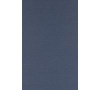 Edgar O. Edwards Employment in Developing Nations (Copertina rigida)