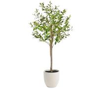 edihome, Piante Finte da Interno, Olivo artificiale 120cm, Pianta finta da interno - Albero decorativo realistica con vaso per casa ufficio hotel (Olivo, 120 cm)