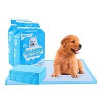 Edipets, Tappetini Igienici per Cani 45x60, Assorbenti, Tappetini Monouso per l'Addestramento dei Cuccioli (40 Pezzi)