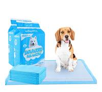 Edipets, Tappetini Igienici per Cani 60x60, Assorbenti, Tappetini Monouso per l'Addestramento dei Cuccioli (40 unità)