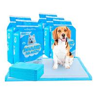 Edipets, Tappetini Igienici per Cani 60x60, Assorbenti, Tappetini Monouso per l'Addestramento dei Cuccioli (100 unità)
