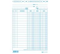EDIPRO - E3173BL - 100 schede dare/avere/saldo blu f.to 17x12