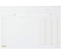 EDIPRO - E3369VE - 100 schede a 3 colonne verde f.to 17x24