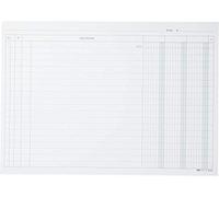 EDIPRO - E3569VE - 100 schede a 3 colonne verde f.to 21x29,7