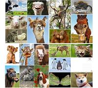Edition Colibri Set di cartoline con animali, divertenti e carine provenienti da tutto il mondo, per bambini, amici, regali di squadra e postcrossing, fatti a mano, prodotti in Germania, prodotti in
