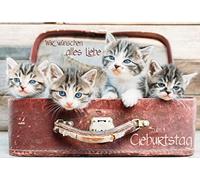 Edition Seidel Biglietto di auguri di compleanno con busta. Biglietto di auguri Billet Happy Birthday Uomo Donna Bambino Vi auguriamo tutto l'amore per il compleanno del gatto gattino (G1846 SW023)