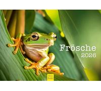 Edition Seidel Calendario da parete Premium rane 2026, formato DIN A4, calendario animale, rana, rospo, anfibi