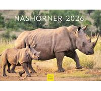 Edition Seidel Calendario da parete Premium rinoceronti 2026, formato DIN A3, calendario animale, Africa sud-est asiatico, rinoceronte Rhino Rhinozerosse animali selvatici