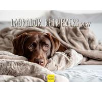 Edition Seidel Calendario Labrador Retrievers 2027, formato DIN A5. Calendario da parete tedesco cane cucciolo Tierkinder razza di cane Haustier