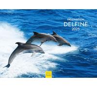 Edition Seidel Calendario Premium Affascinazione delfini 2025, formato DIN A3, da parete, con delfini, balene, mammiferi, oceano