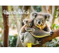 Edition Seidel Calendario Premium Inseparabile per bambini e mamme 2026, formato DIN A3, calendario da parete con animali domestici, per bambini, mamma, koala, volpe polare, procione, damwild