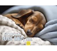 Edition Seidel Calendario Premium per cani che dormono bambini 2026, formato DIN A4, calendario da parete per cani, bambini, cani, cuccioli, razza di cani