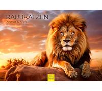 Edition Seidel Calendario Premium per gatti predatori Grazia & Kraft 2025, formato DIN A3, calendario da parete con animali, Africa, animale selvatico, predatore, gatto, leone, grande gatto, tigre,