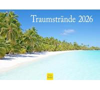 Edition Seidel Calendario Premium Spiagge 2026 formato DIN A4 da parete Caraibi Maldive Repubblica Dominicana Spiaggia Mare Costa Palme
