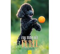 Edition Seidel Calendario Premium Un cuore per barboncino 2026, formato DIN A3, da parete, per cani, cuccioli, animali domestici, melanie viola