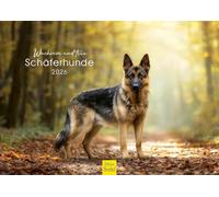 Edition Seidel Calendario Premium vigile e fedele pastore 2026, formato DIN A4, calendario da parete con animali domestici, cane, Germania cucciolo