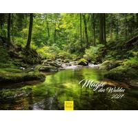 Edition Seidel Premium Calendario La magia della foresta 2027 Formato DIN A4 Calendario da parete calendario natura foresta alberi radura