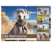 Edle Weimaraner. Loyale Silberseelen im Licht der Natur (Wandkalender 2026 DIN A2 quer), CALVENDO Monatskalender: Die Schönheit, Eleganz und Tiefe des Weimaraners berührt Herz und Blick zugleich