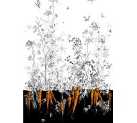 Edmond Petit Carta da parati Lièvres/Fenouil/Tournesol - Noir Orange - Fenouil Sauvage Gauche - Noir Orange Doré