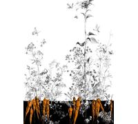 Edmond Petit Carta da parati Lièvres/Fenouil/Tournesol - Noir Orange - Tournesol Droit - Noir Orange Doré