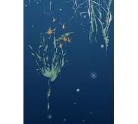 Edmond Petit Carta da parati Nautilus/Méduses/Nénuphars - Marine - Nénuphars droit - Marine