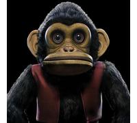 Edo Van Breemen - The Monkey
