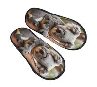 EdsfFehs Pantofole morbide che abbracciano albero koala 1, calde e accoglienti, scarpe casual da casa per uomini e donne