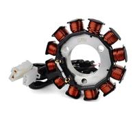 EDSXWUN Poli Fili Statore Magneto Compatibile con CZD300 per Xmax 300 ABS per Tech per Max 2020 Accessori di Ricambio per Moto Bobina Statore Magnete Filo B74-H1410-00