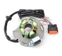 EDSXWUN Poli Fili Statore Magneto Compatibile con Gas Gas per EC250 per EC300 2008 2009 2010 2011 Bobina statore per Motocicletta, Magnete, statore di Ricambio EE700001213
