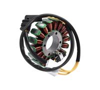 EDSXWUN Poli Fili Statore Magneto Compatibile con VFR800 per VTEC Blsnche ABS 2009 2010 2011 2012 2013 Bobina Statore Magnete Moto Accessori Motore Generatore 31120-MCW-D02