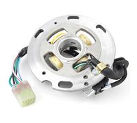 EDSXWUN Poli Fili Statore Magneto Compatibile con YZ250 per YZ250H1 1996 per YZ250 per YZ250 per YZ250K1 1998 Bobina Statore per Moto Bobina Statore Magnete 4SR-85560-00