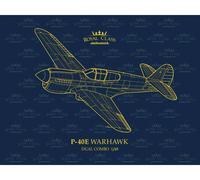 Eduard Curtiss P-40E Warhawk Royal Class Edition 1:48 R0023 modellismo
