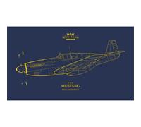 EDUARD R0019 MODELLO AEREO CLASSE ROYAL P-51B MUSTANG 1/48