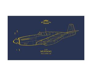 EDUARD R0019 MODELLO AEREO CLASSE ROYAL P-51B MUSTANG 1/48