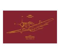 EDUARD R0021 MODELLO AEREO P-51D MUSTANG DUAL COMBO 1/72