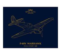EDUARD R0025 MODELLO AEREO P-40N WARHAWK ROYAL CLASS DUAL COMBO 1/48