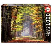 Educa - Puzzle Paseo Otonal - 1000 Pezzi