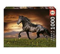 Educa - Puzzle 1000 pezzi Troto Horse | Puzzle cavalli | Misura 68x48 cm | Include colla Fix | Per adulti 14+ (19555)