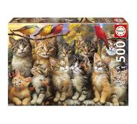 Educa - Puzzle 500 pezzi per adulti | Gattini e Uccelli. Dimensioni: 48 x 34 cm. Da 11 Anni (20241)