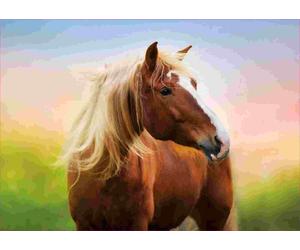 Educa - Puzzle Cavallo all'alba - 500 Pezzi