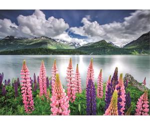 Educa - Puzzle Lupini Sulle Rive Del Lago Di Sils, Svizzera - 1500 Pezzi