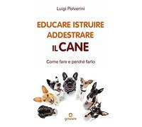 Educare, istruire, addestrare il cane. Come farlo e perché farlo